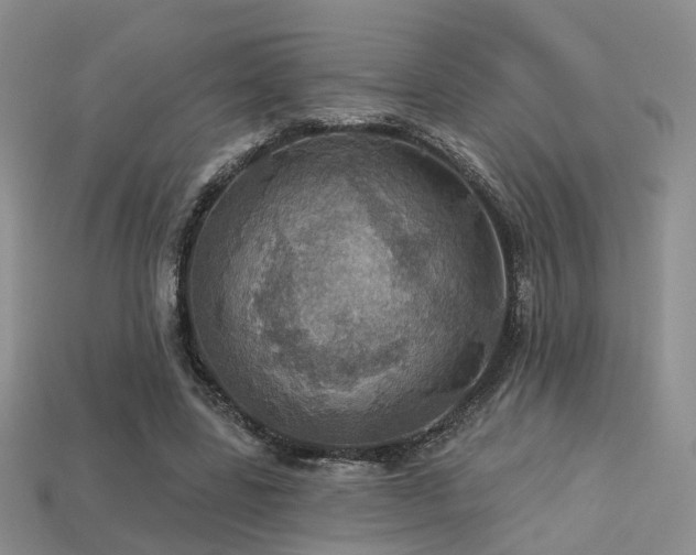 X0000113230539200909101213