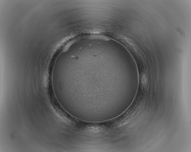 X0000113230540200909101213