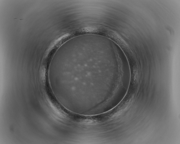 X0000113230542200909101213