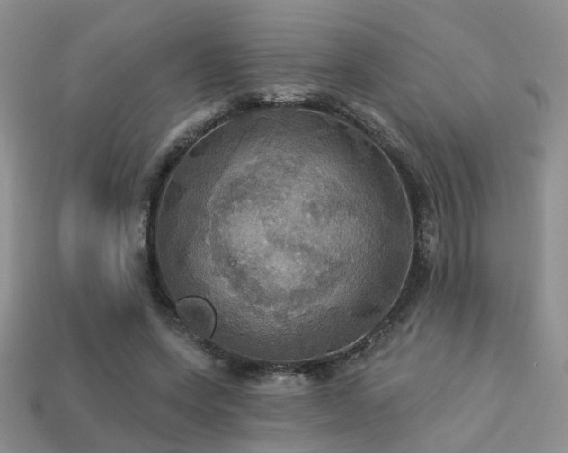 X0000113230543200909101213
