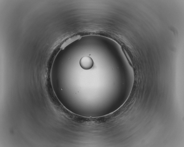 X0000113230544200909101213