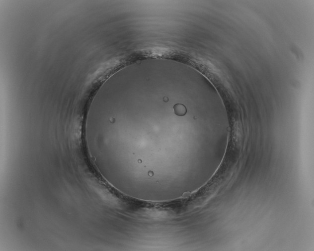 X0000113230545200909101213