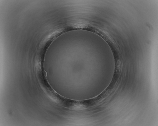 X0000113230547200909101213