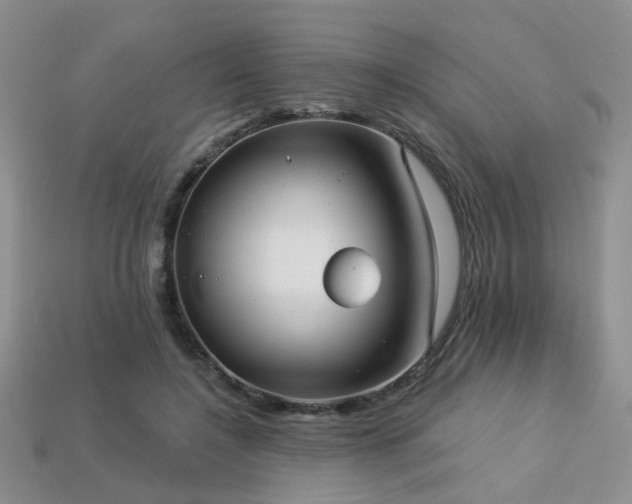 X0000113230548200909101213