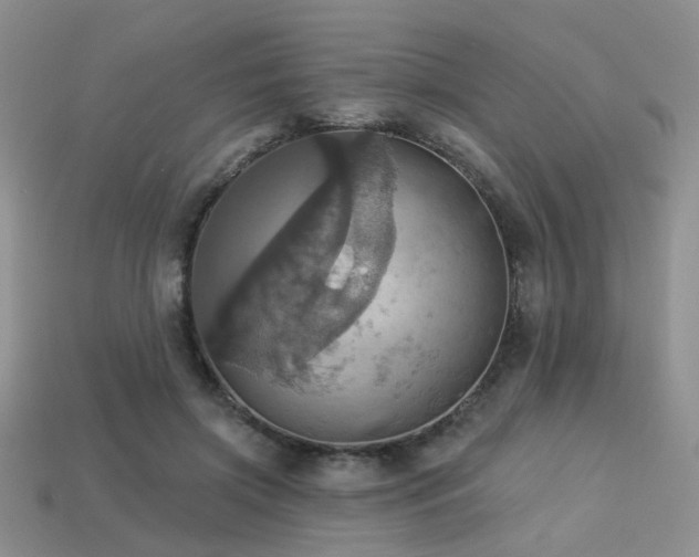 X0000113230549200909101213