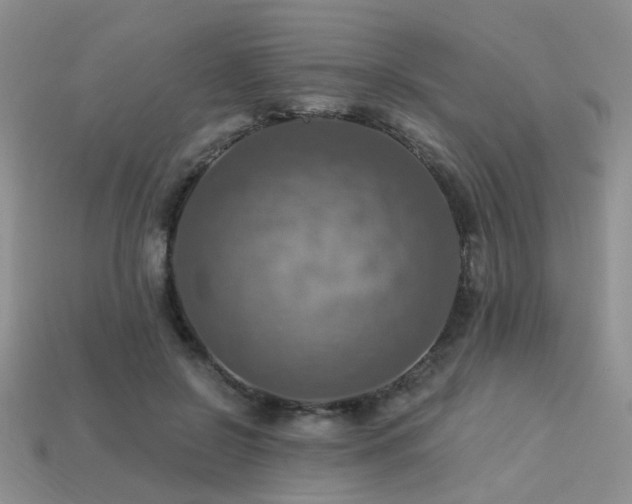 X0000113230550200909101213