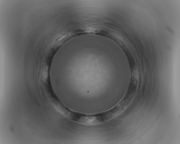 X0000113230554200909101213