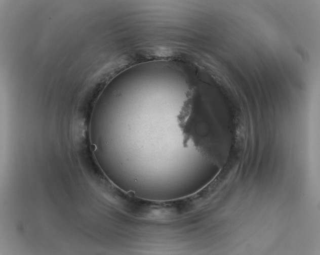 X0000113230555200909101213
