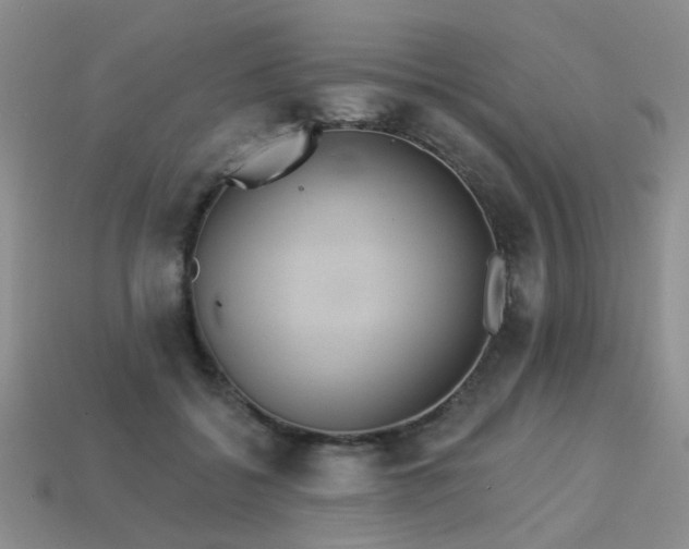 X0000113230556200909101213