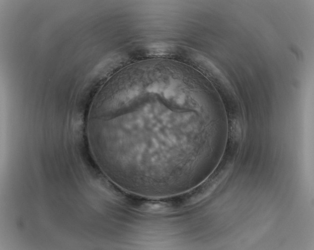 X0000113230557200909101213