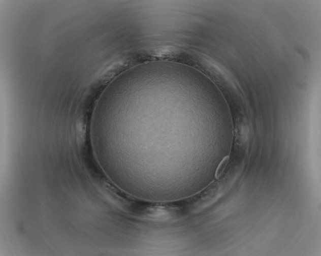 X0000113230558200909101213