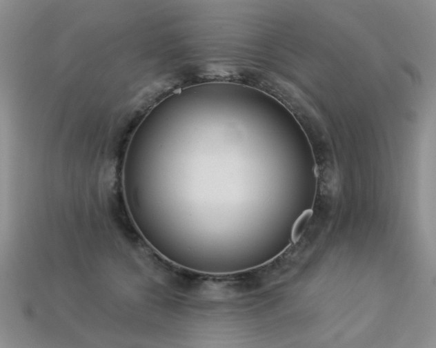 X0000113230560200909101213