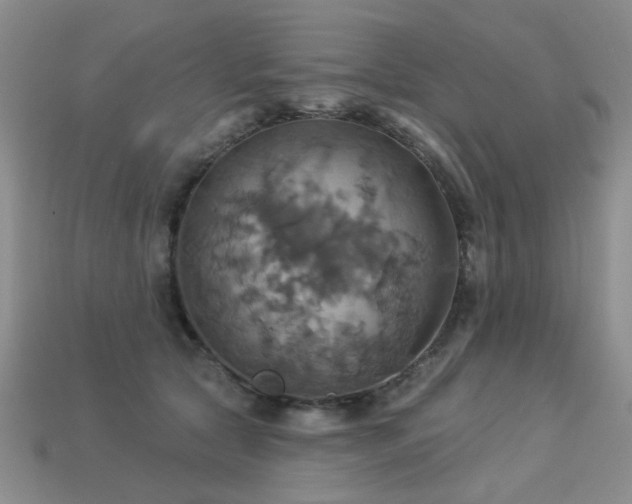 X0000113230561200909101213
