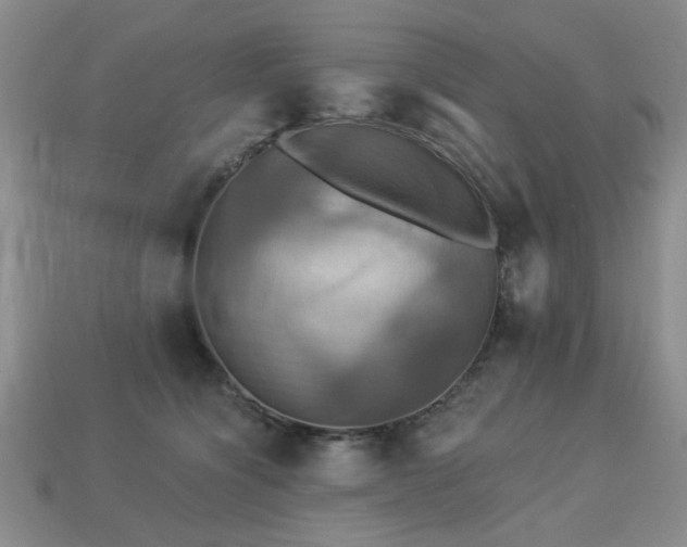 X0000113230564200909101213