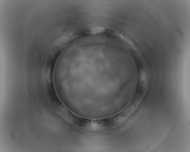 X0000113230565200909101213