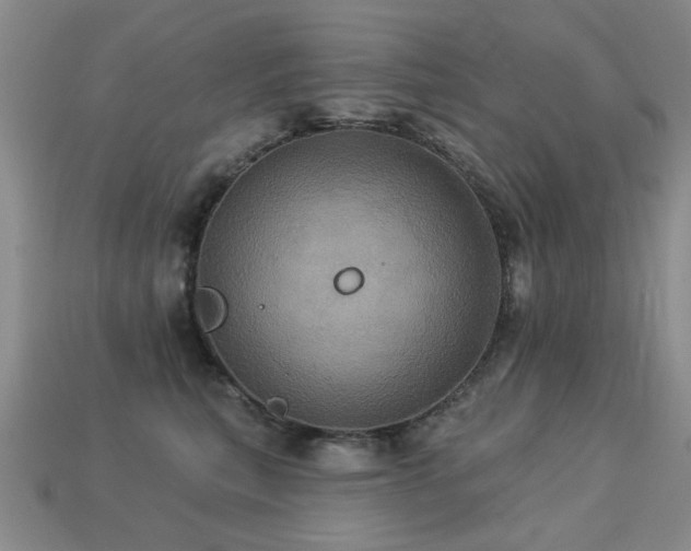 X0000113230567200909101213