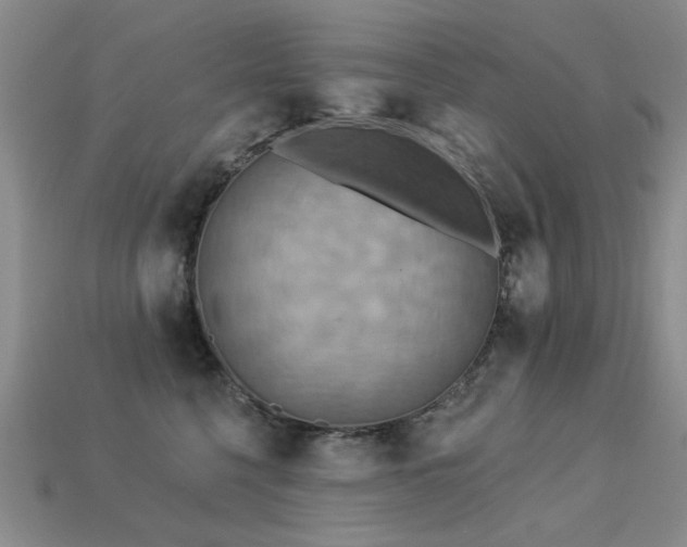 X0000113230568200909101213