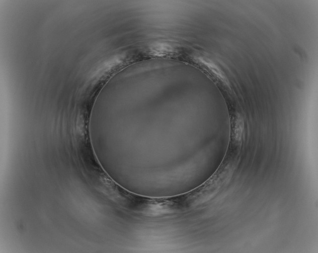 X0000113230569200909101213