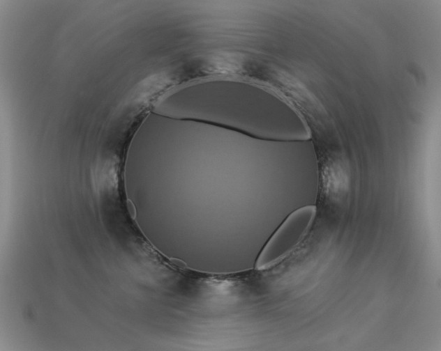 X0000113230570200909101213