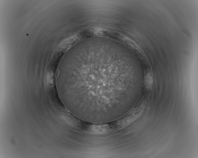 X0000113230571200909101213