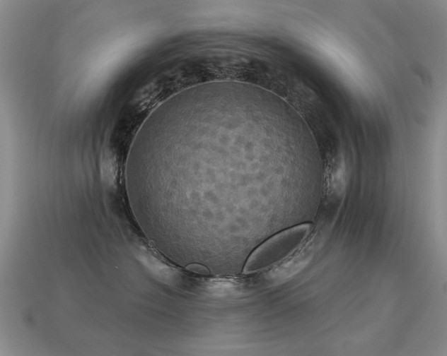 X0000113230574200909101213