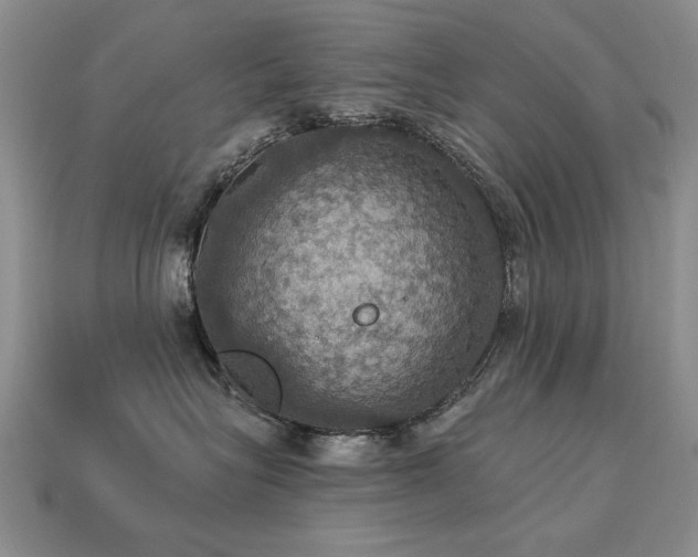 X0000113230575200909101213