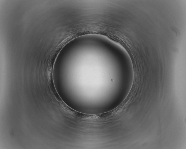 X0000113230576200909101213