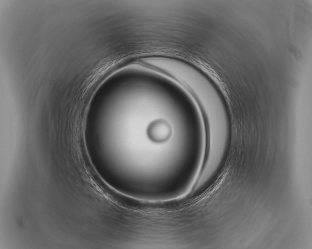 X0000113230577200909101213