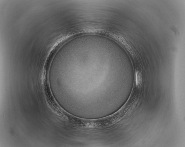 X0000113230579200909101213