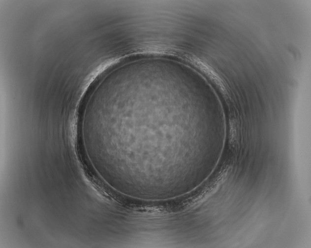 X0000113230580200909101213