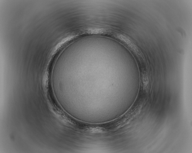 X0000113230583200909101213