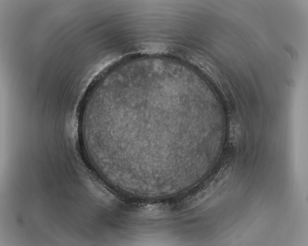 X0000113230584200909101213