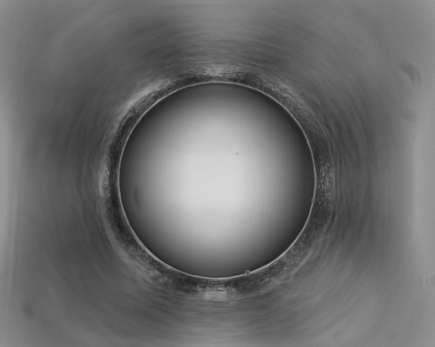 X0000113230587200909101213