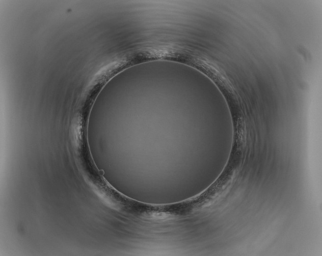X0000113230590200909101213