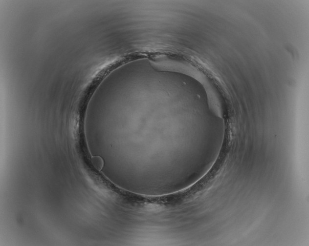 X0000113230592200909101213