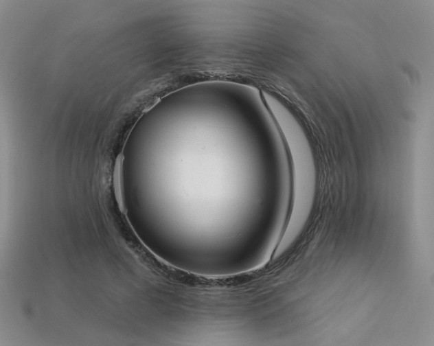 X0000113230593200909101213