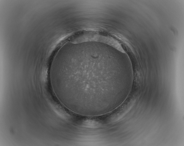 X0000113230596200909101213