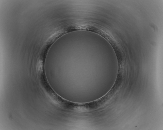 X0000113230598200909101213