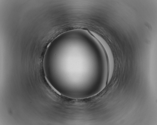X0000113230601200909101213