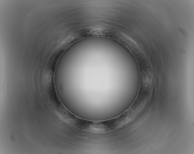 X0000113230603200909101213