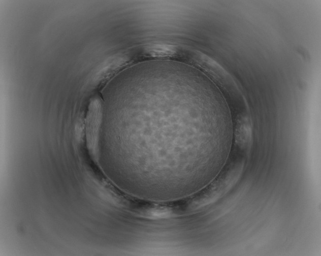 X0000113230604200909101213