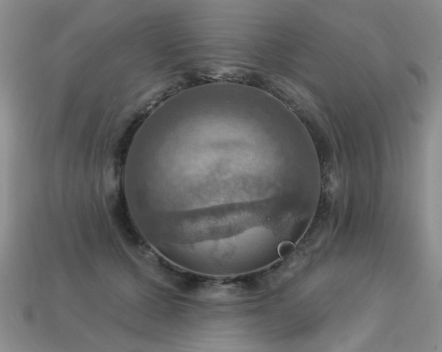 X0000113230607200909101212