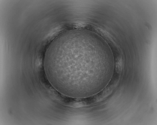X0000113230608200909101212