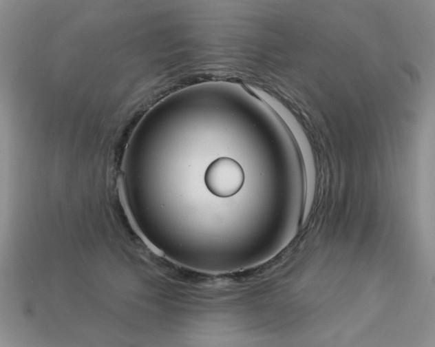 X0000113230609200909101212