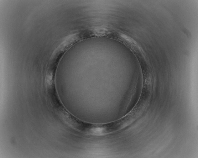 X0000113230610200909101212