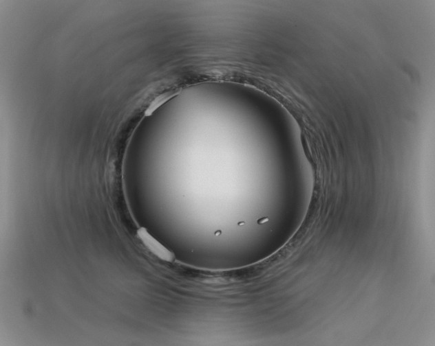 X0000113230611200909101212