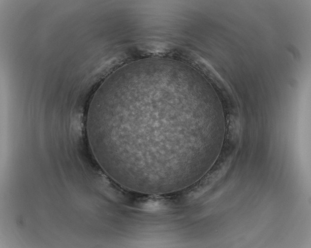 X0000113230612200909101212