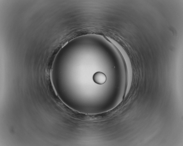 X0000113230613200909101212