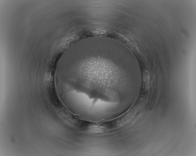 X0000113230614200909101212