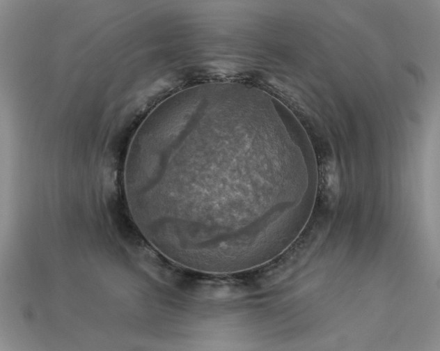 X0000113230615200909101212